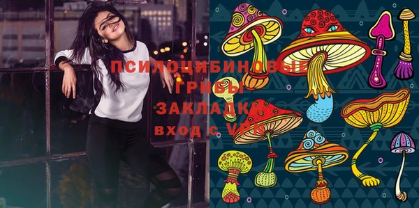 дживик Дмитровск