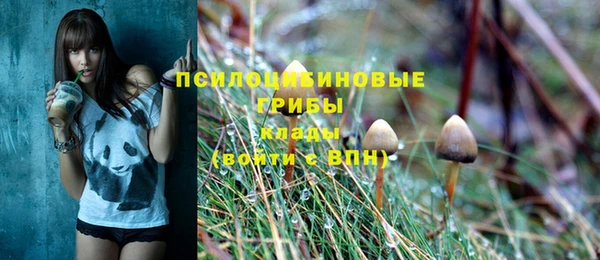 мяу мяу кристалл Дмитров