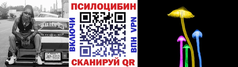 Купить  Егорьевск  Галлюциногенные грибы MAGIC MUSHROOMS 